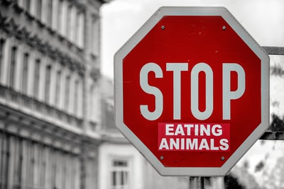停止进食动物标志的选择性颜色